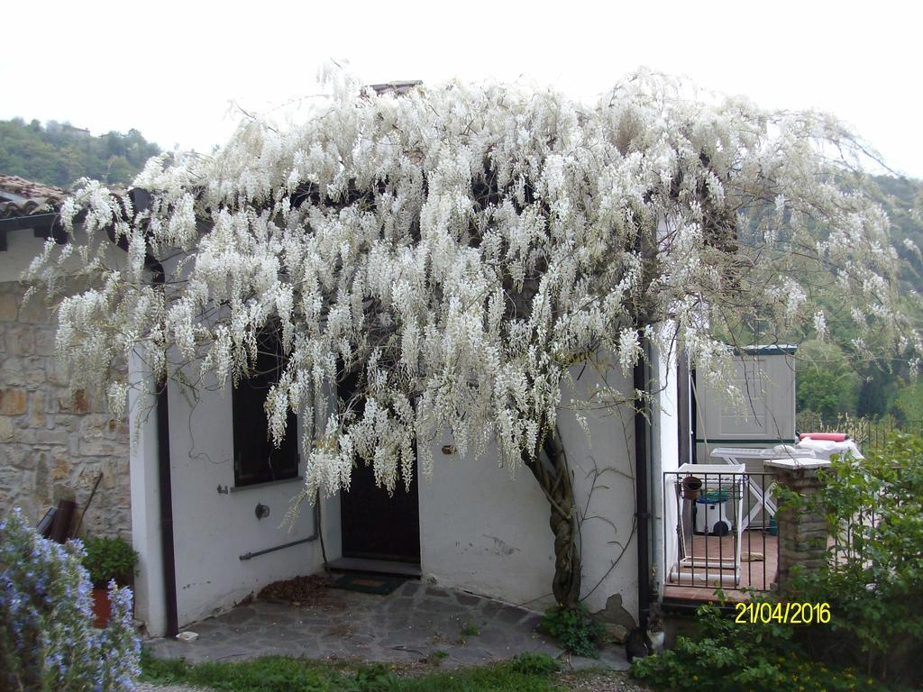 B&B San Nicola Serramazzoni Εξωτερικό φωτογραφία
